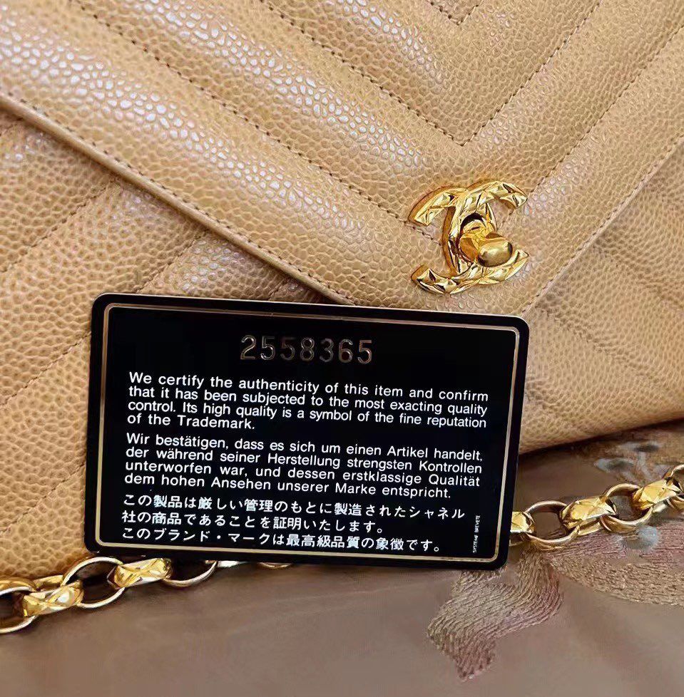 CHANEL CAMERA BAG | SERIES 2 SMALL CAVIAR 24K GHW