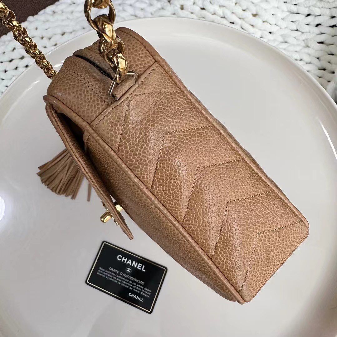 CHANEL CAMERA BAG | SERIES 2 SMALL CAVIAR 24K GHW